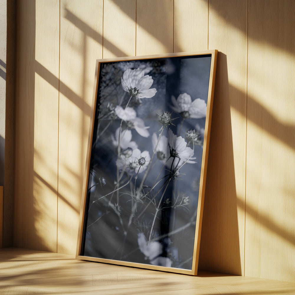 Wild Flowers 10 | Poster