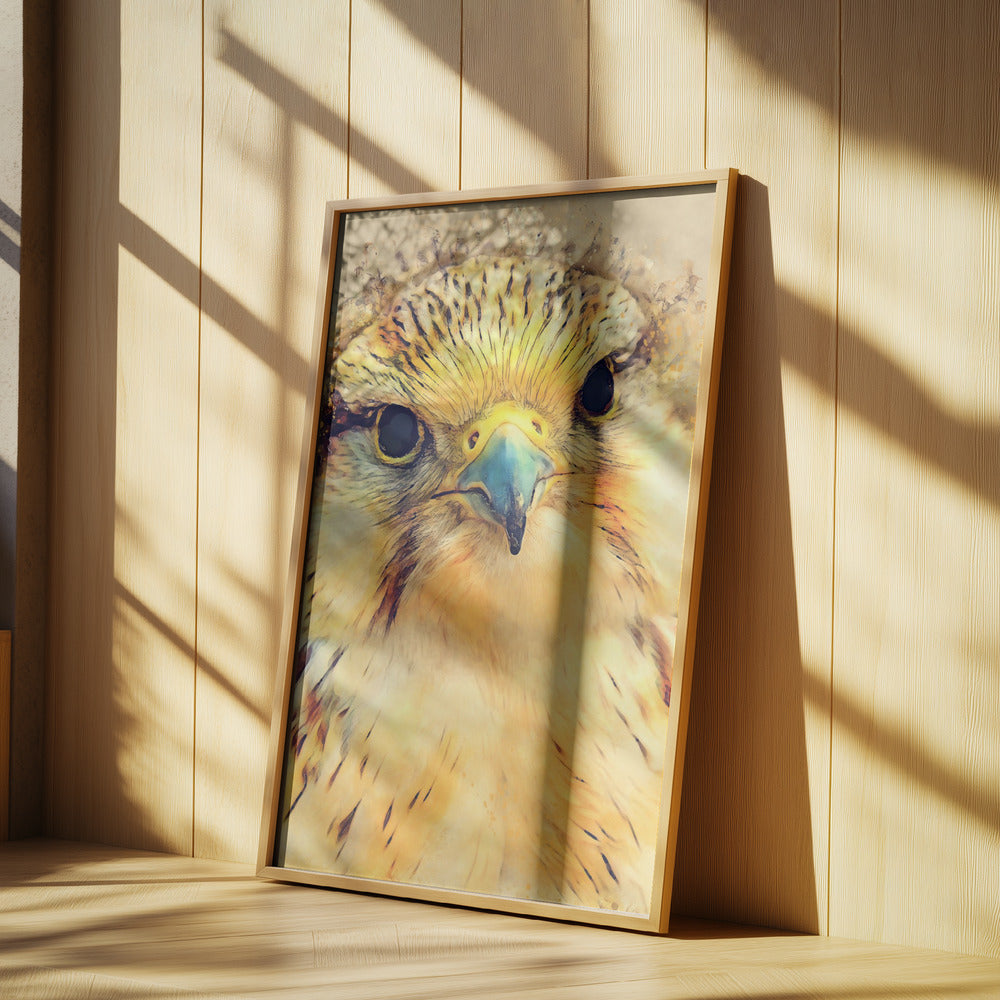 Tierfalke Aquarell Tierkunst | Poster