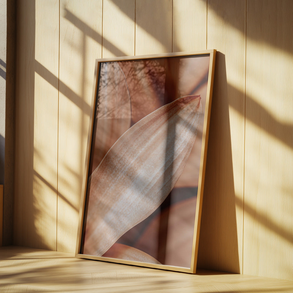 Amber Petal Elegance | Poster