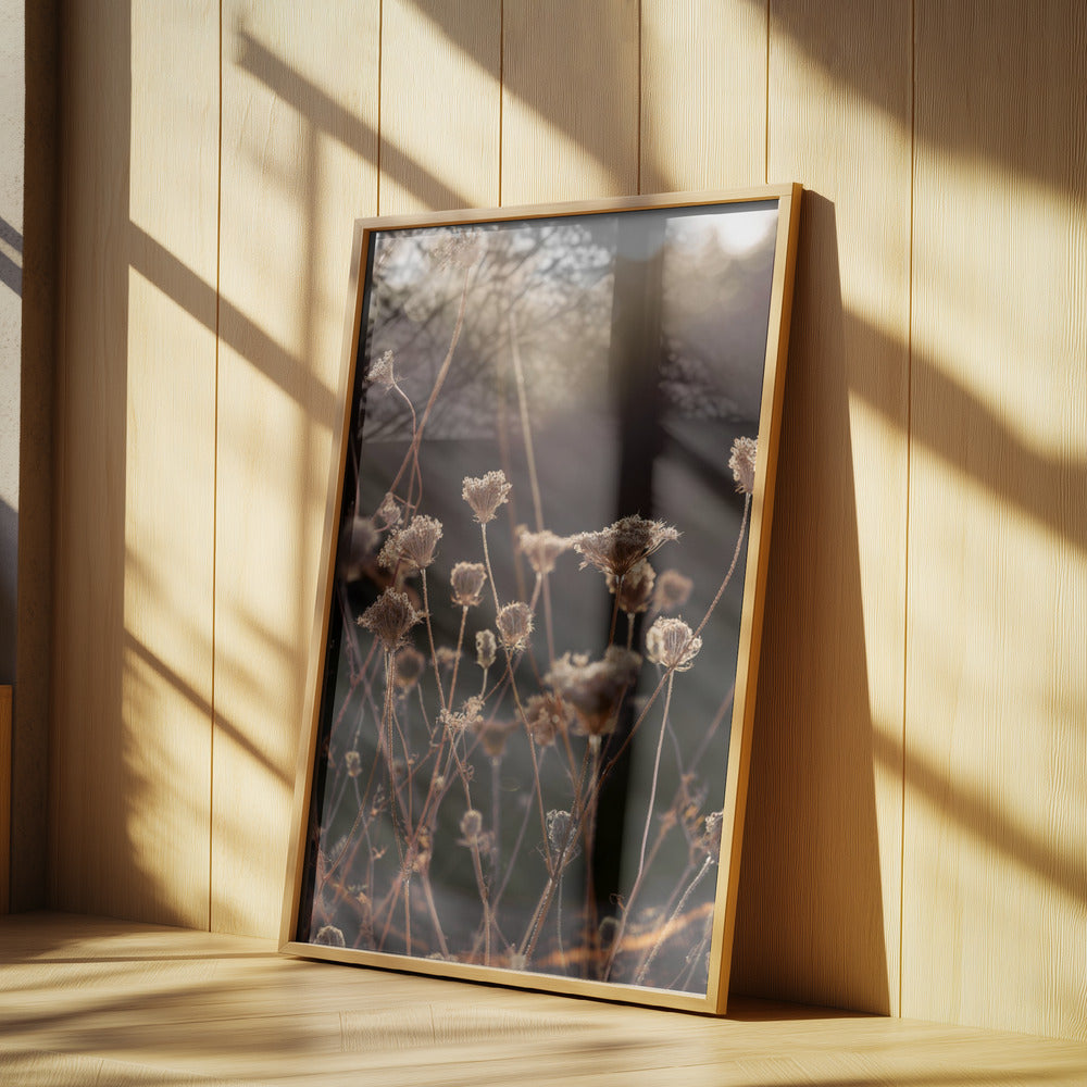Warm Winter Light 2 | Poster
