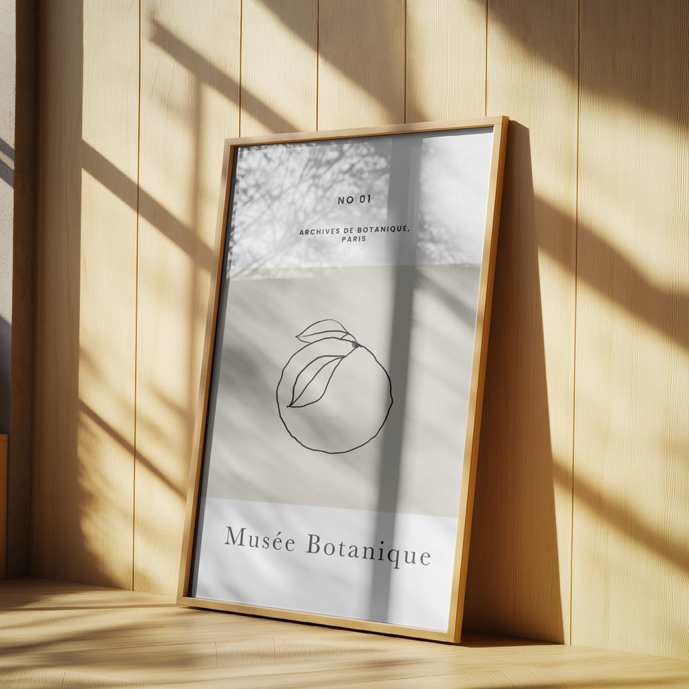 Abstractbotanicsno13 | Poster