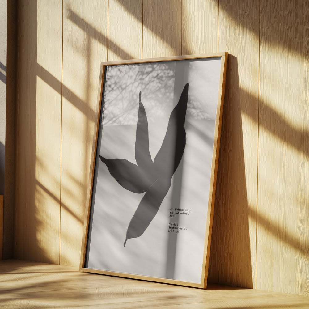 Scandilineno15 | Poster