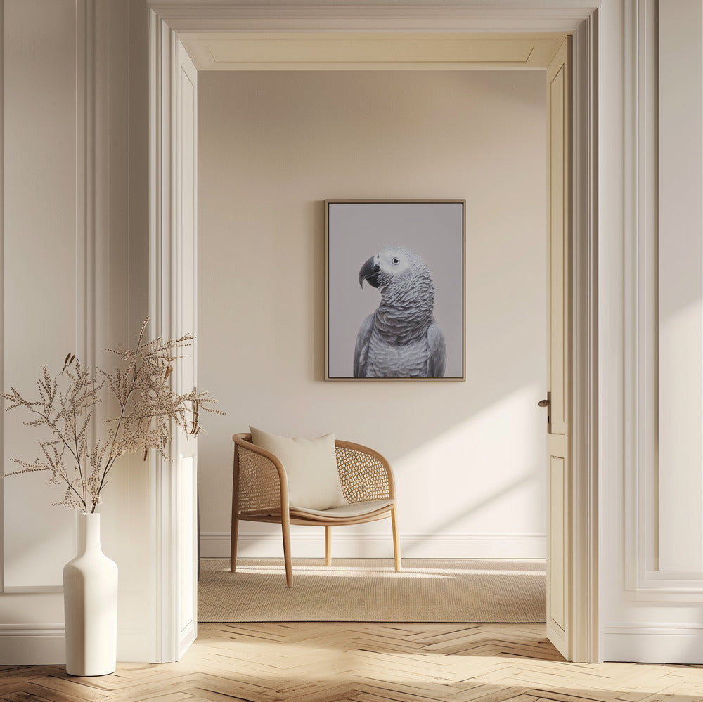 Pagliaccio africano | Poster - Stampe d’Arte