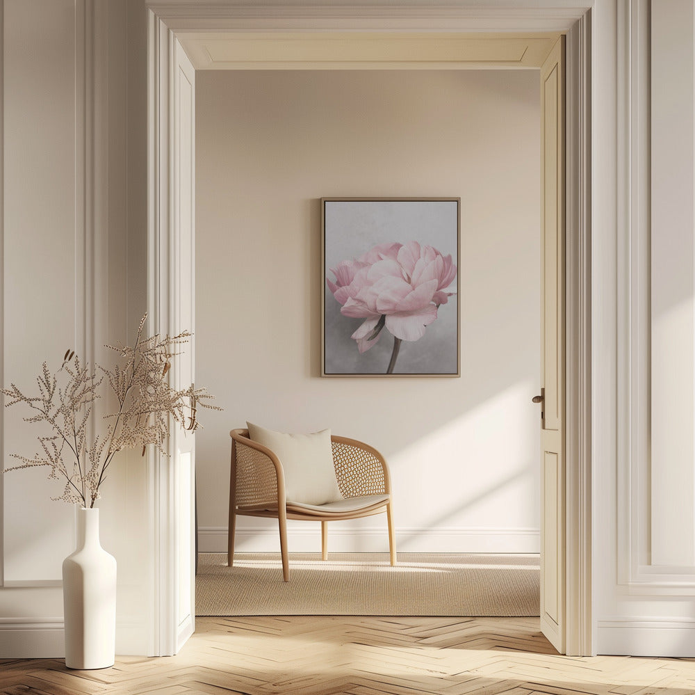 Pivoine | Posters - Affiche Artistique