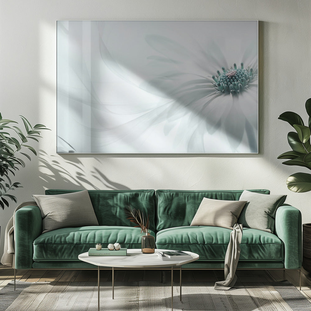 Purezza | Stampe su Tela