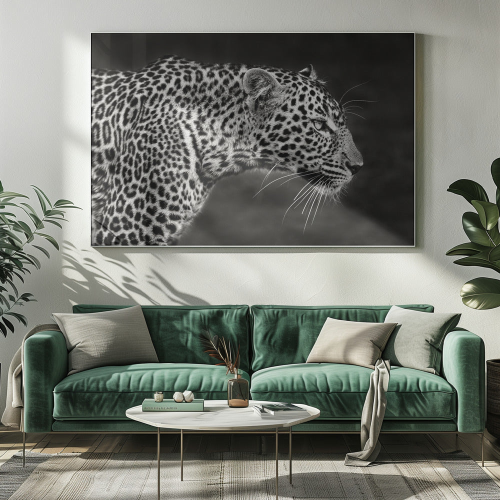 Leopardo de cerca | Impresiones en Lienzo