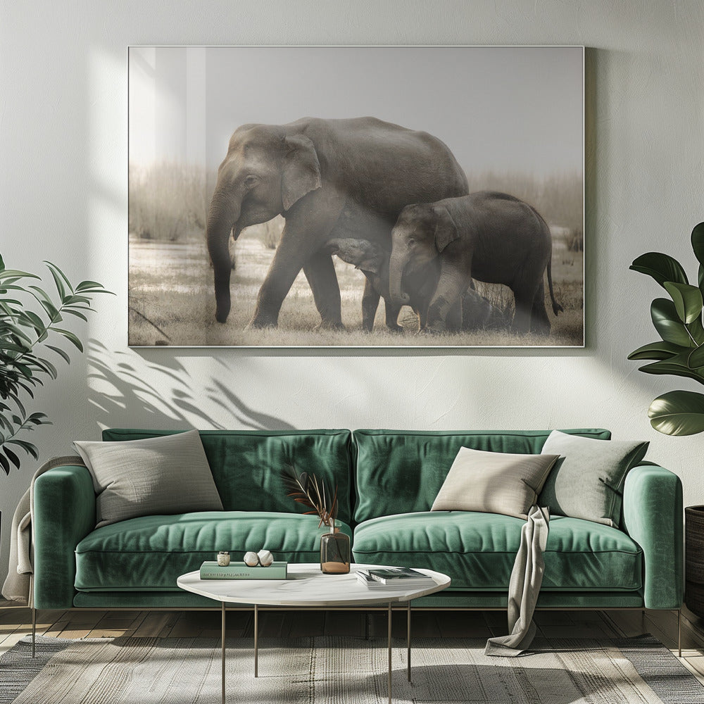 familieportret | Canvasprints
