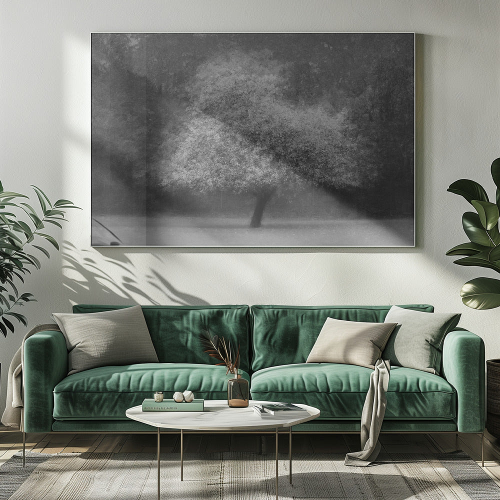 Tree magic | Canvas