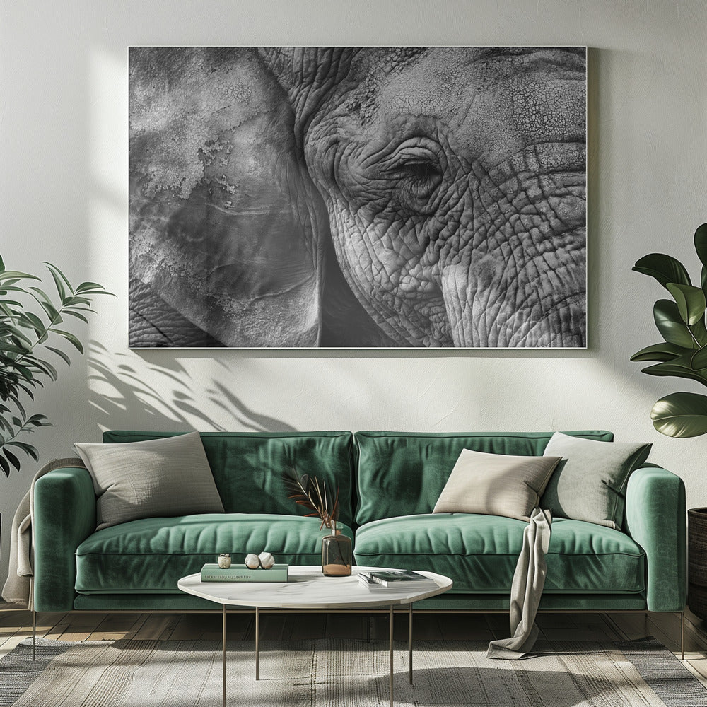Olifantenhuid | Canvasprints