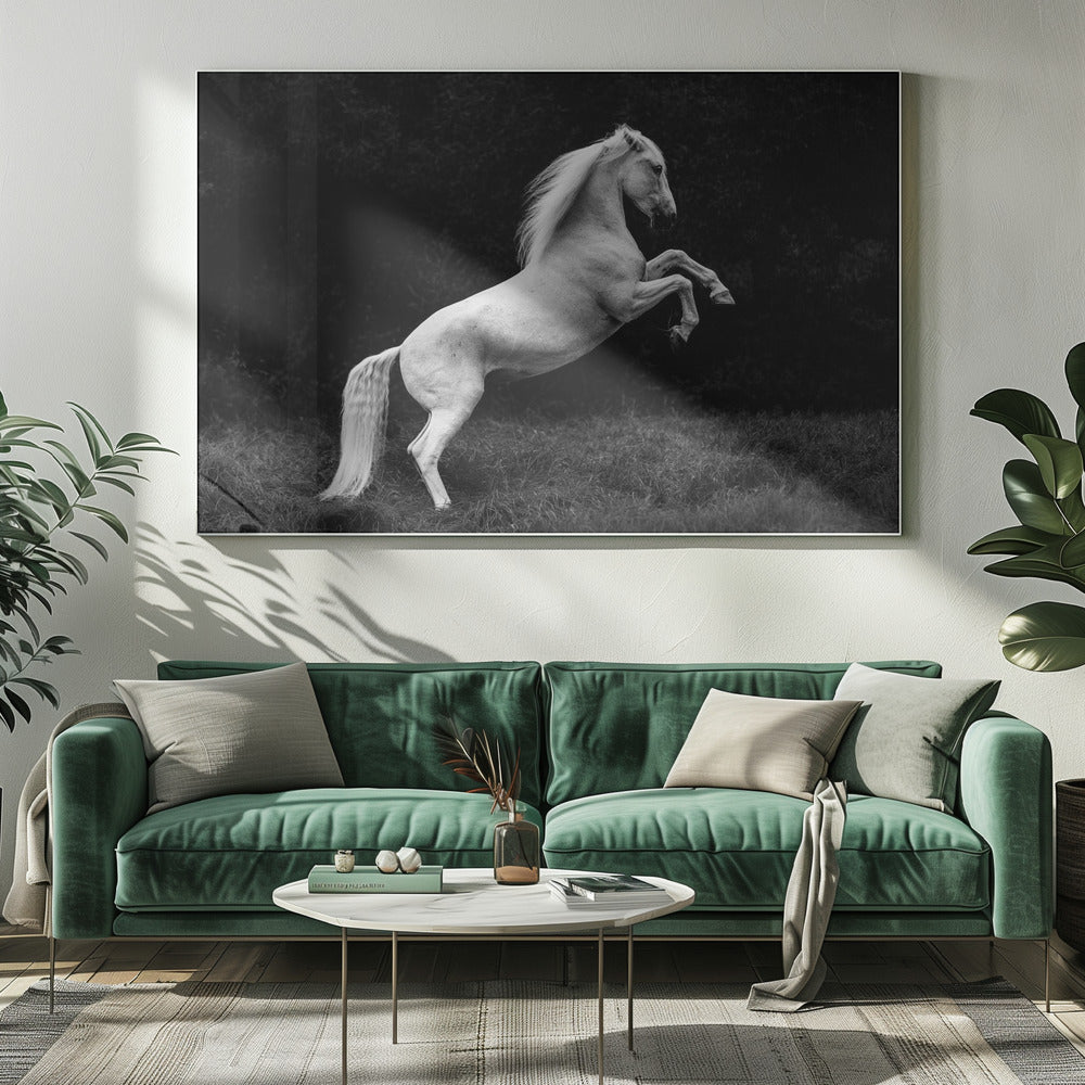 une courte histoire d'un brin d'herbe dans un sabot | Tableaux sur Toile