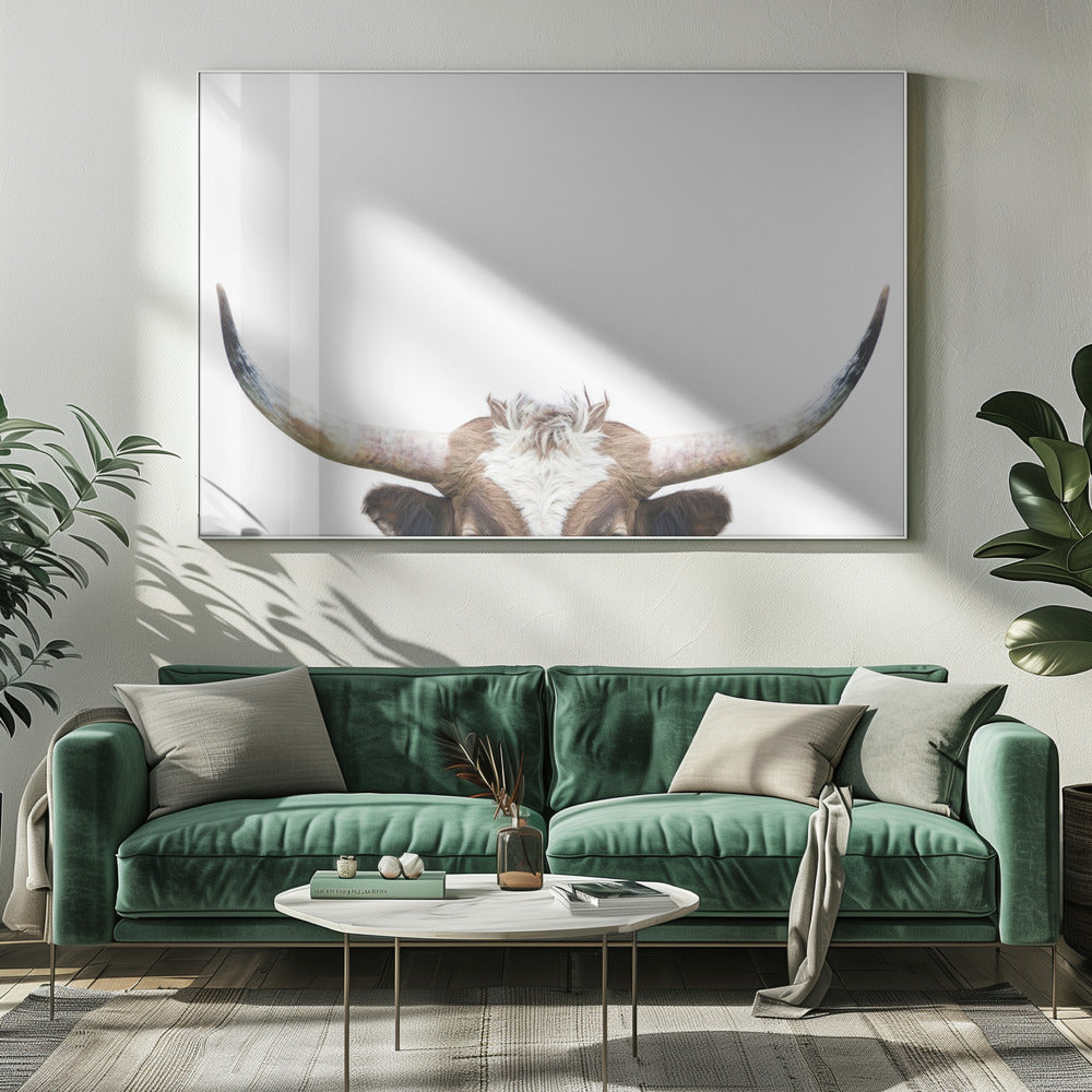Vache à longues cornes qui regarde | Tableaux sur Toile