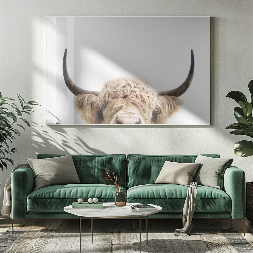 Mucca che sbircia | Stampe su Tela