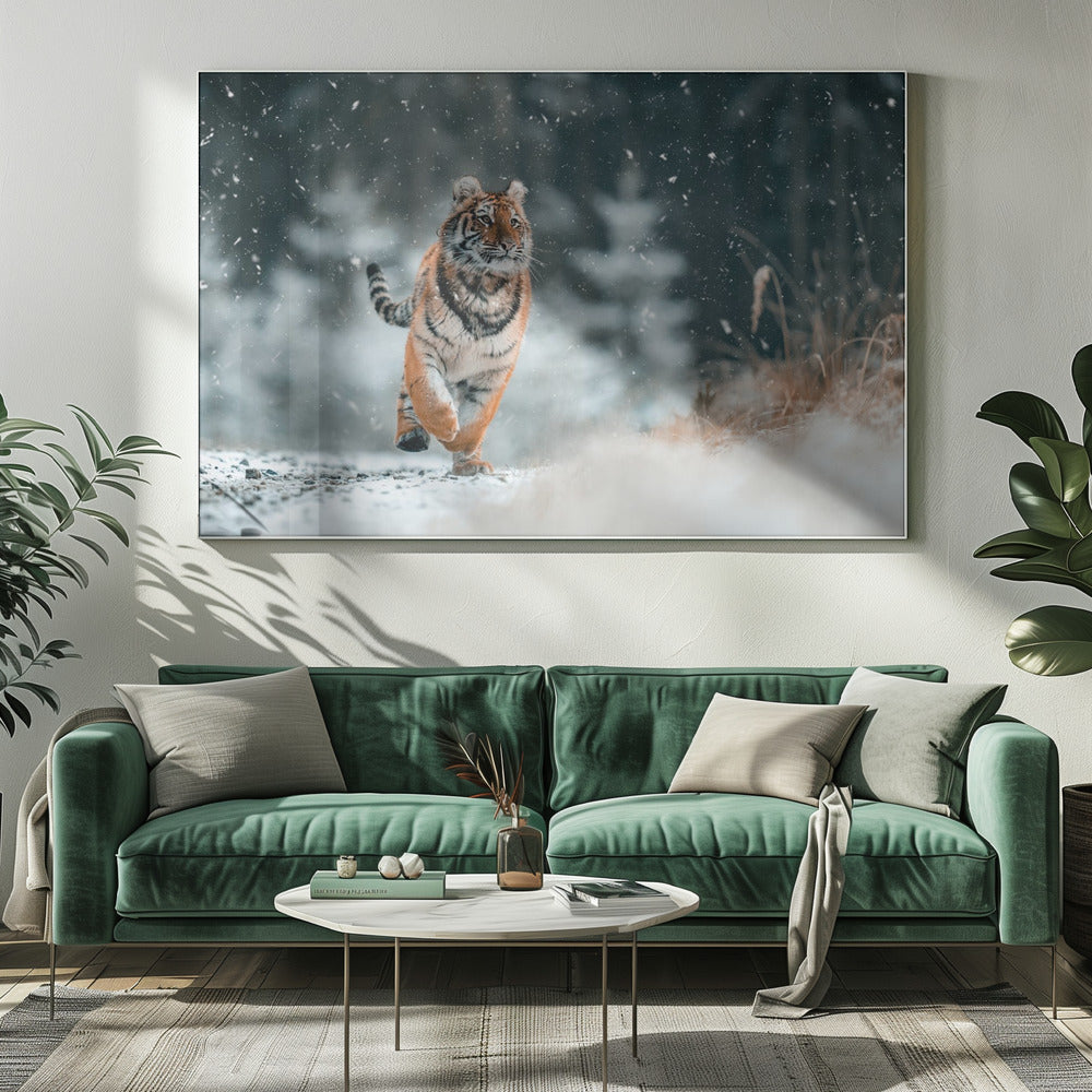 Le tigre de Sibérie | Tableaux sur Toile