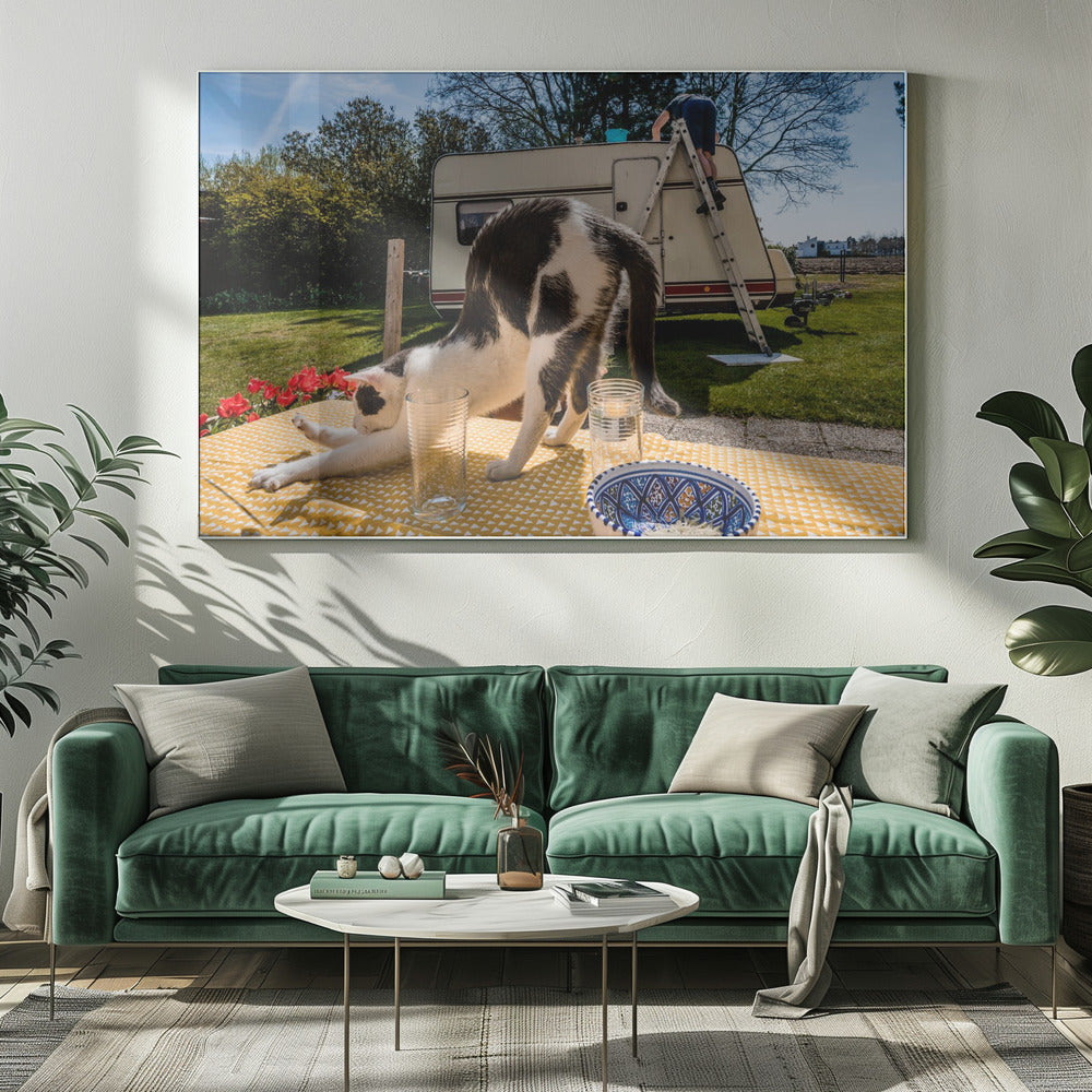 Simuler des poses. . . | Tableaux sur Toile