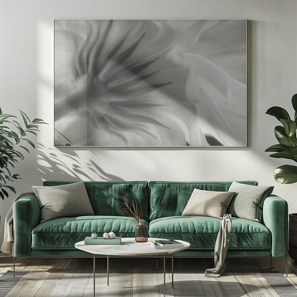 Ringblomma | Canvas
