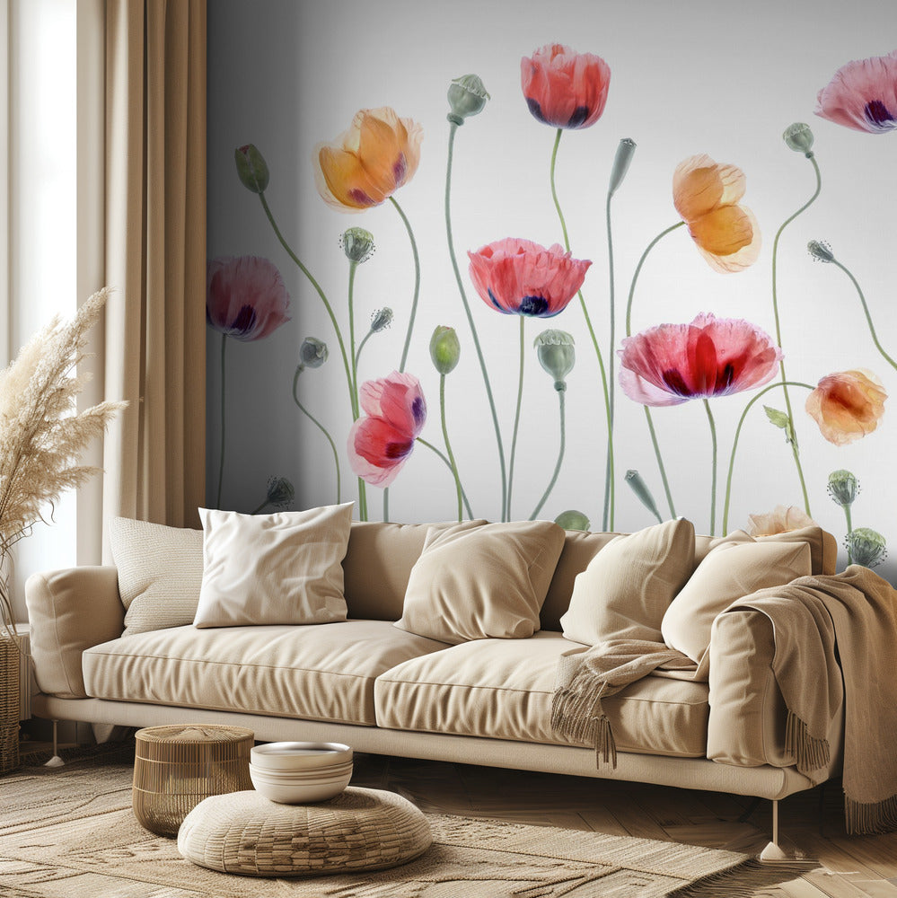 Fête du coquelicot | Papier Peint Photo
