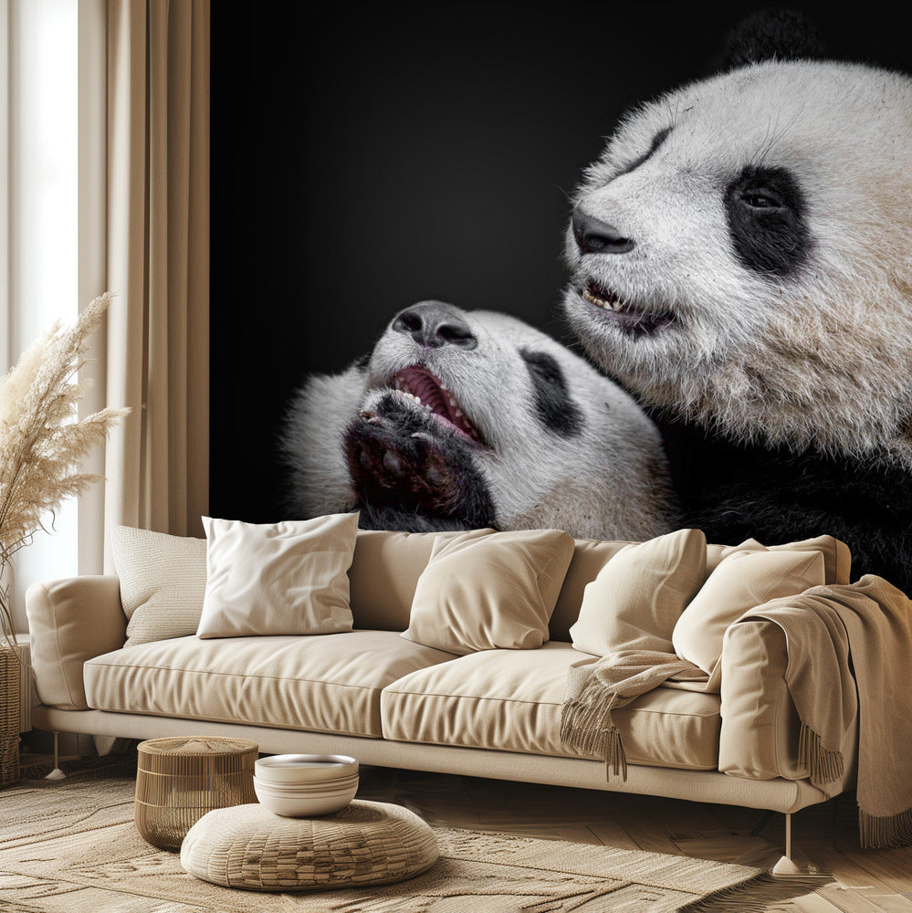 Pandor | Fototapet