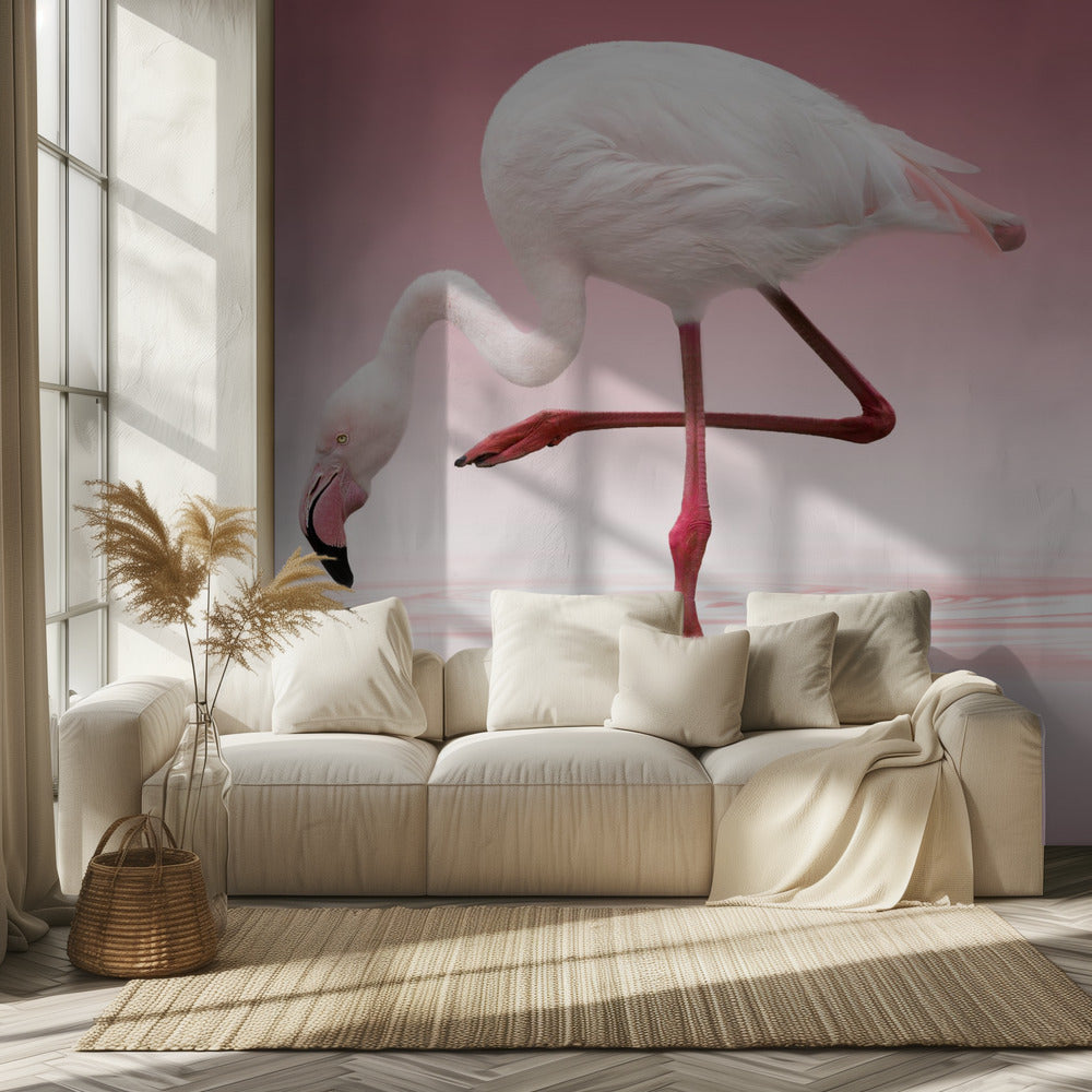 Flamingo | Fototapeten