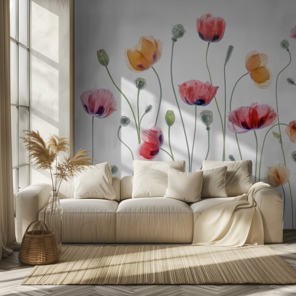 Fête du coquelicot | Papier Peint Photo