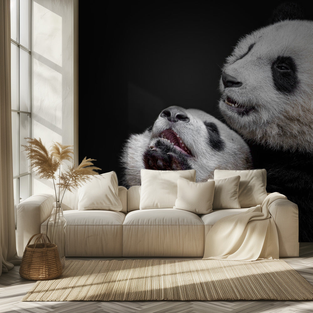 Pandor | Fototapet