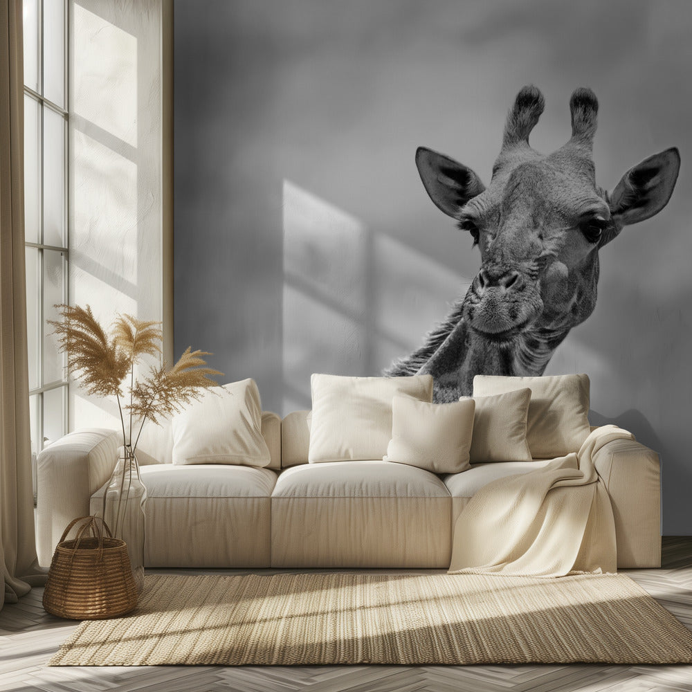 Die Giraffe - Wildlife V | Fototapeten