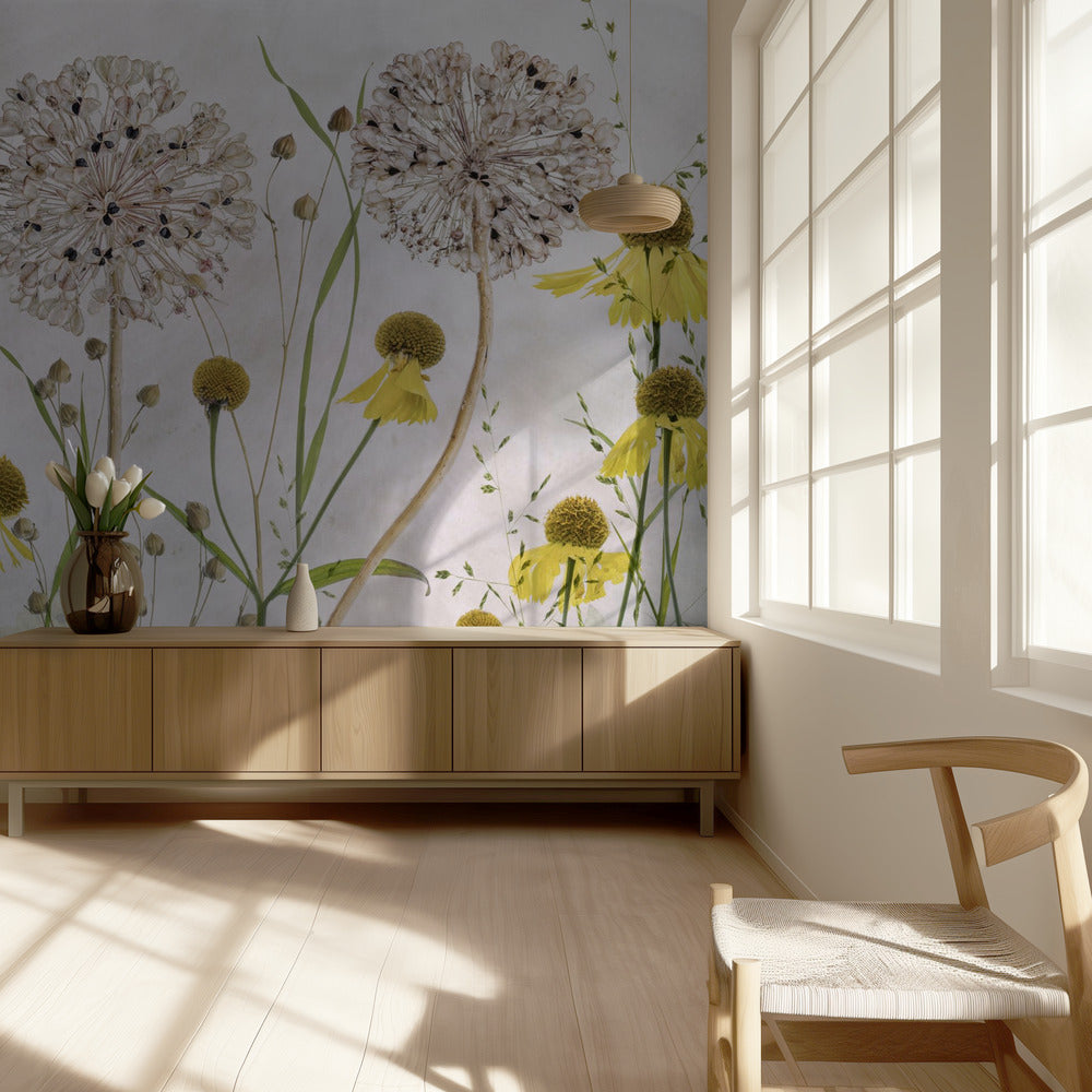 Alliums et héléniums | Papier Peint Photo