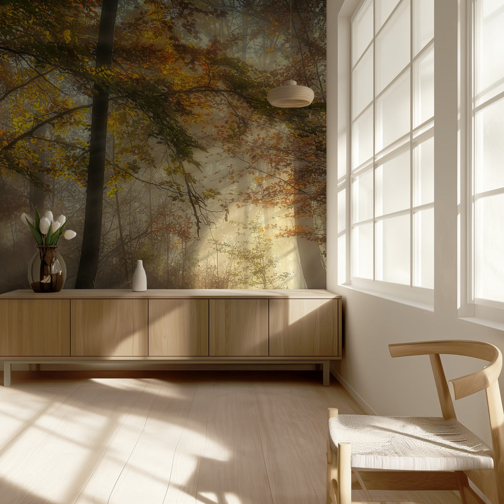 Metsän valot | Valokuvatapetit