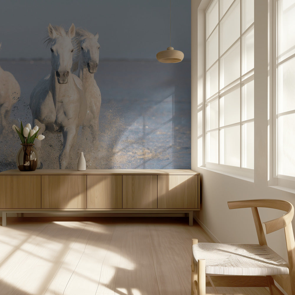 hevoset | Valokuvatapetit
