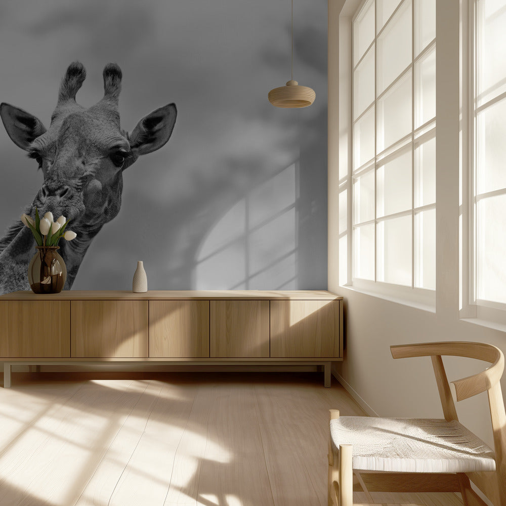 Die Giraffe - Wildlife V | Fototapeten