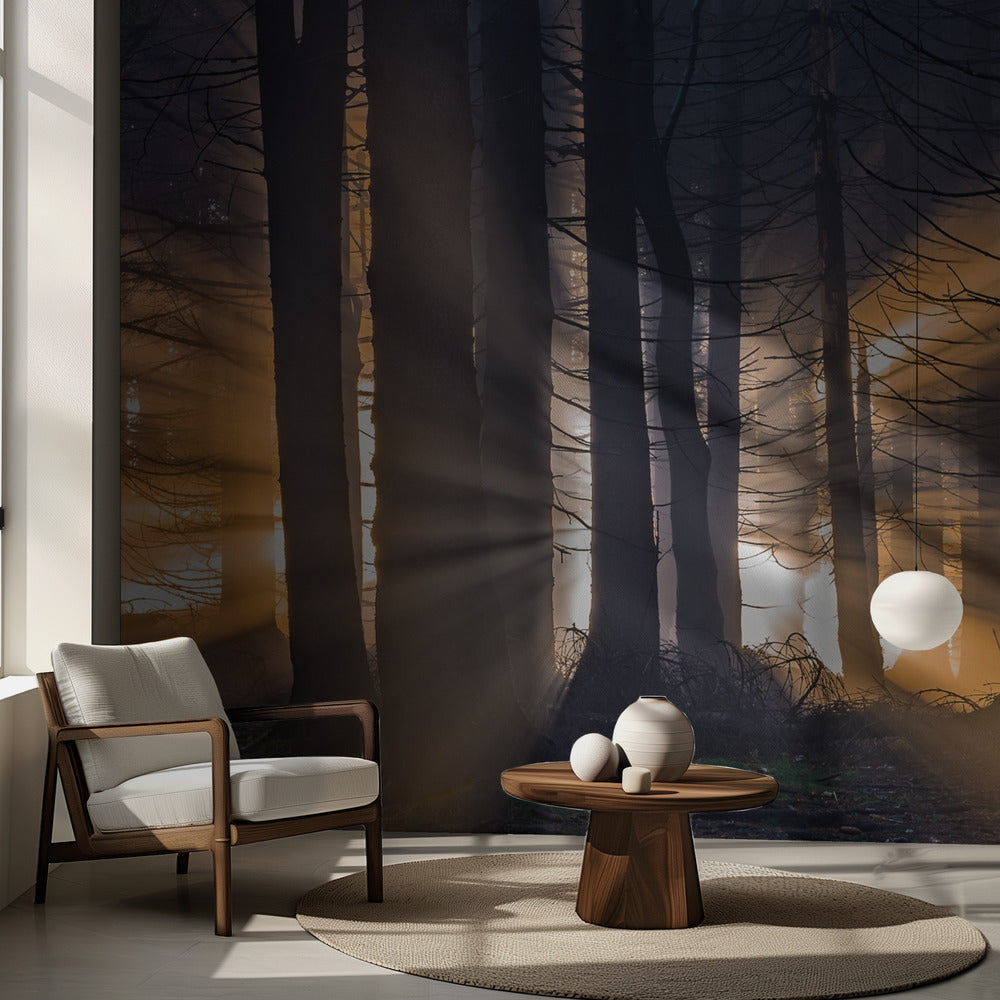 Wald | Fototapeten