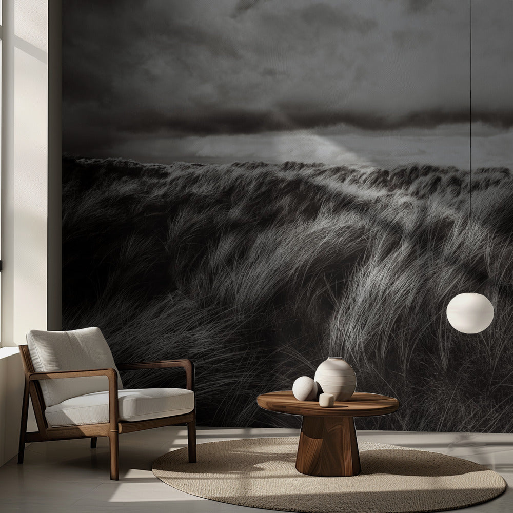 Dunas de hierba | Papel Pintado Fotográfico