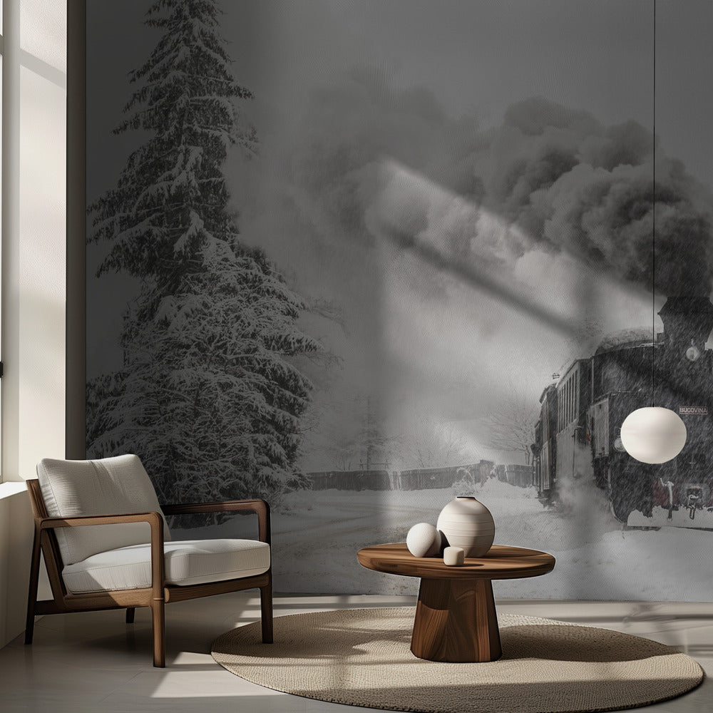 Historia de invierno | Papel Pintado Fotográfico