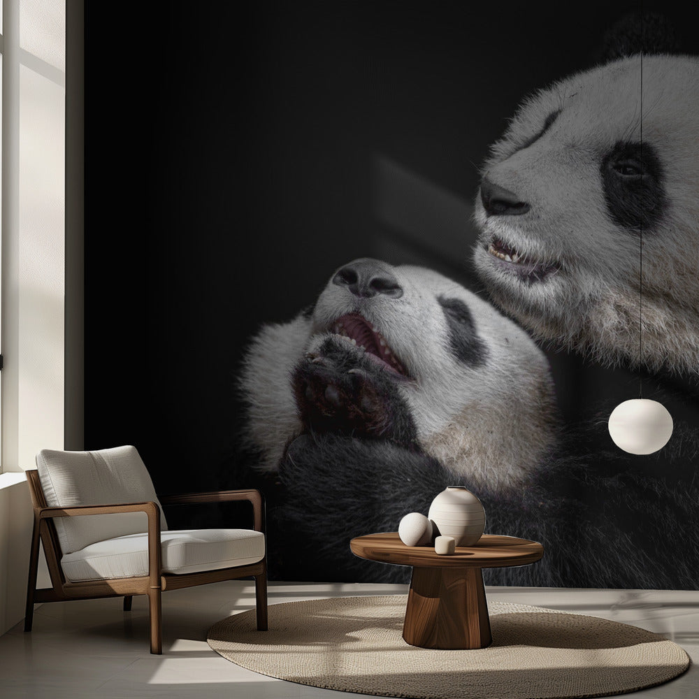 Pandor | Fototapet