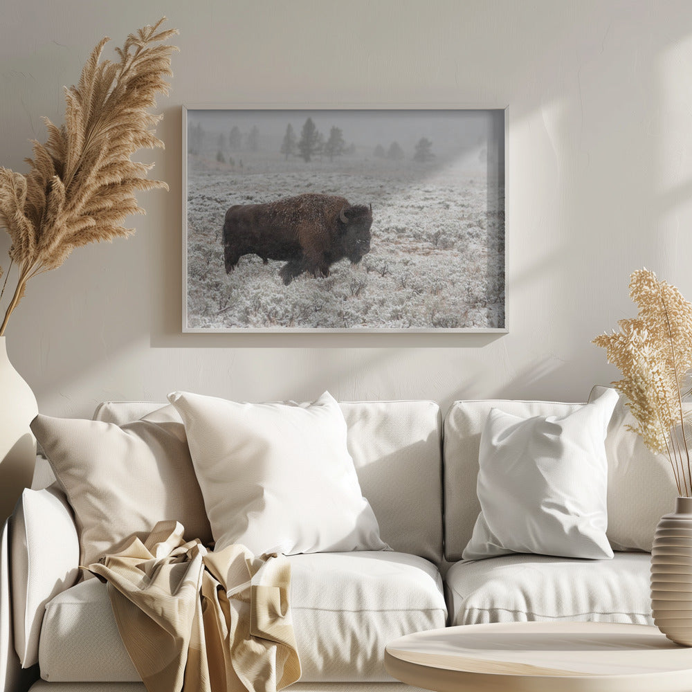 Yellowstone im Spätherbst | Poster - Kunstdruck