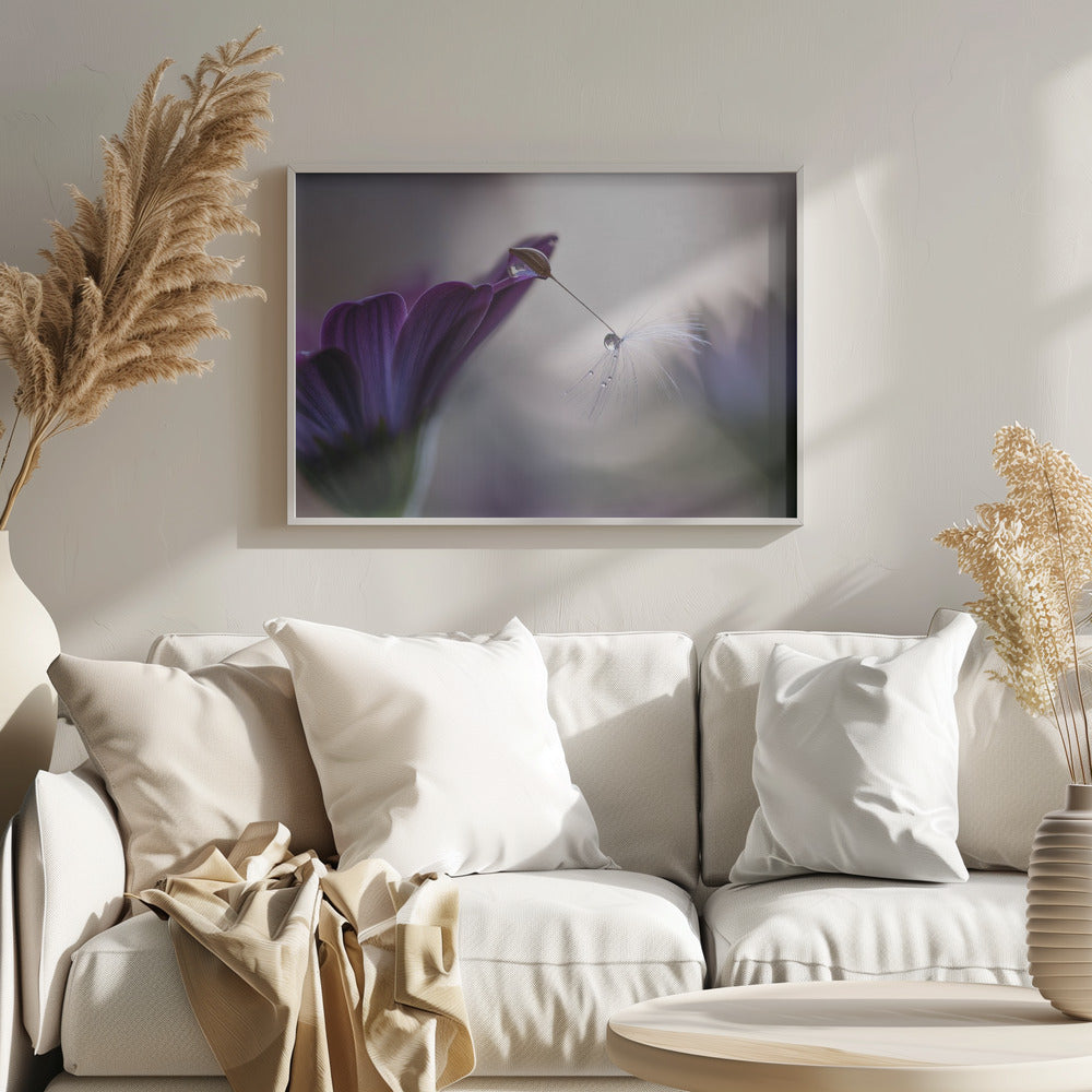 Lluvia purpura | Posters - Impresiones de Arte