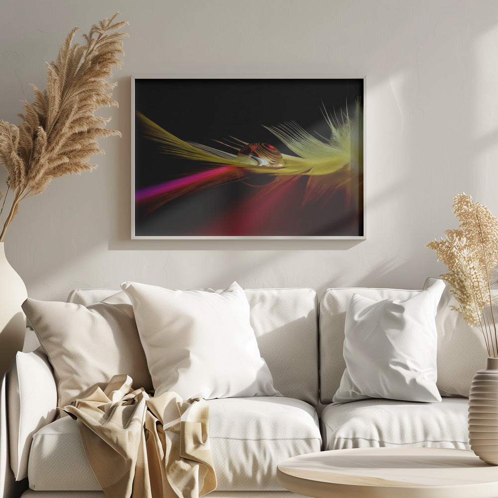 Kleuren in de druppel | Posters - Kunstdrukken