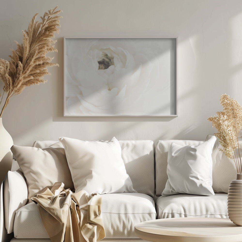Fiore bianco 02 | Poster - Stampe d’Arte