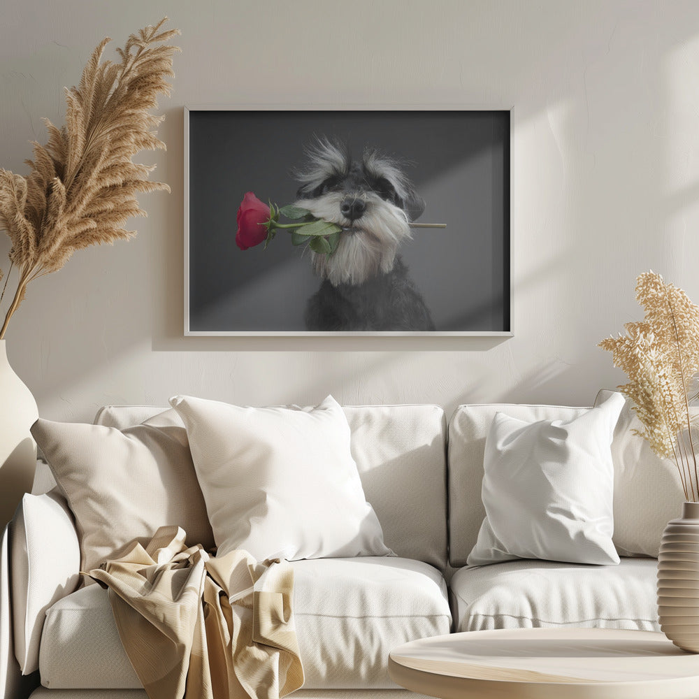 Ballerina di tango | Poster - Stampe d’Arte