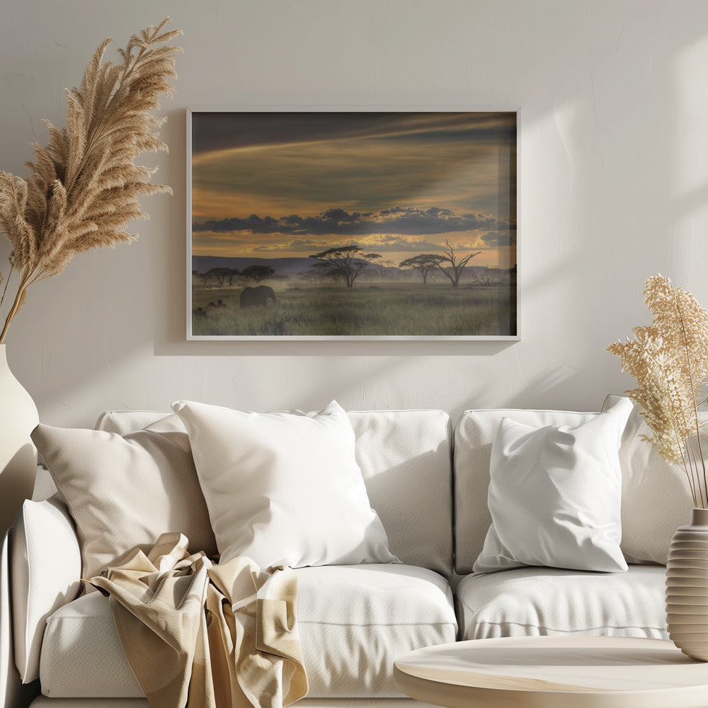 Africa | Poster - Stampe d’Arte