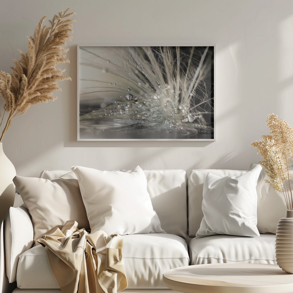 Perle | Poster - Stampe d’Arte