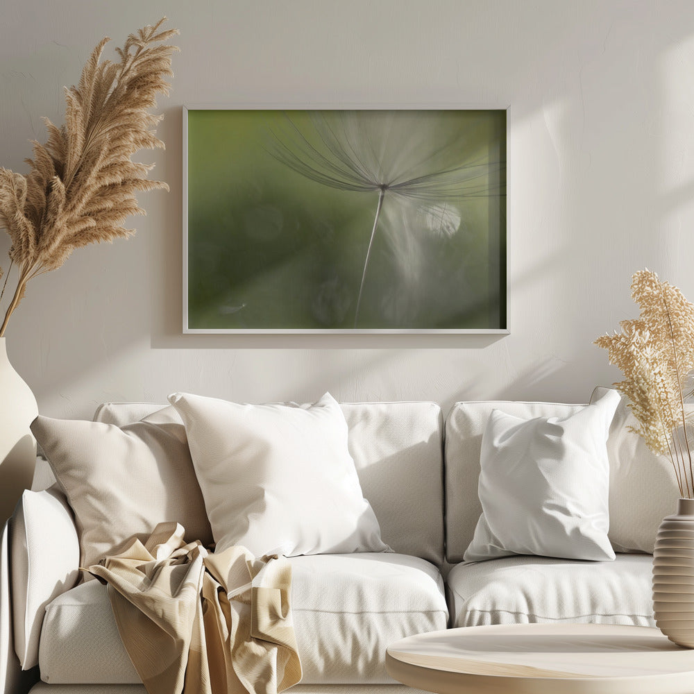 Ombre nel verde | Poster - Stampe d’Arte