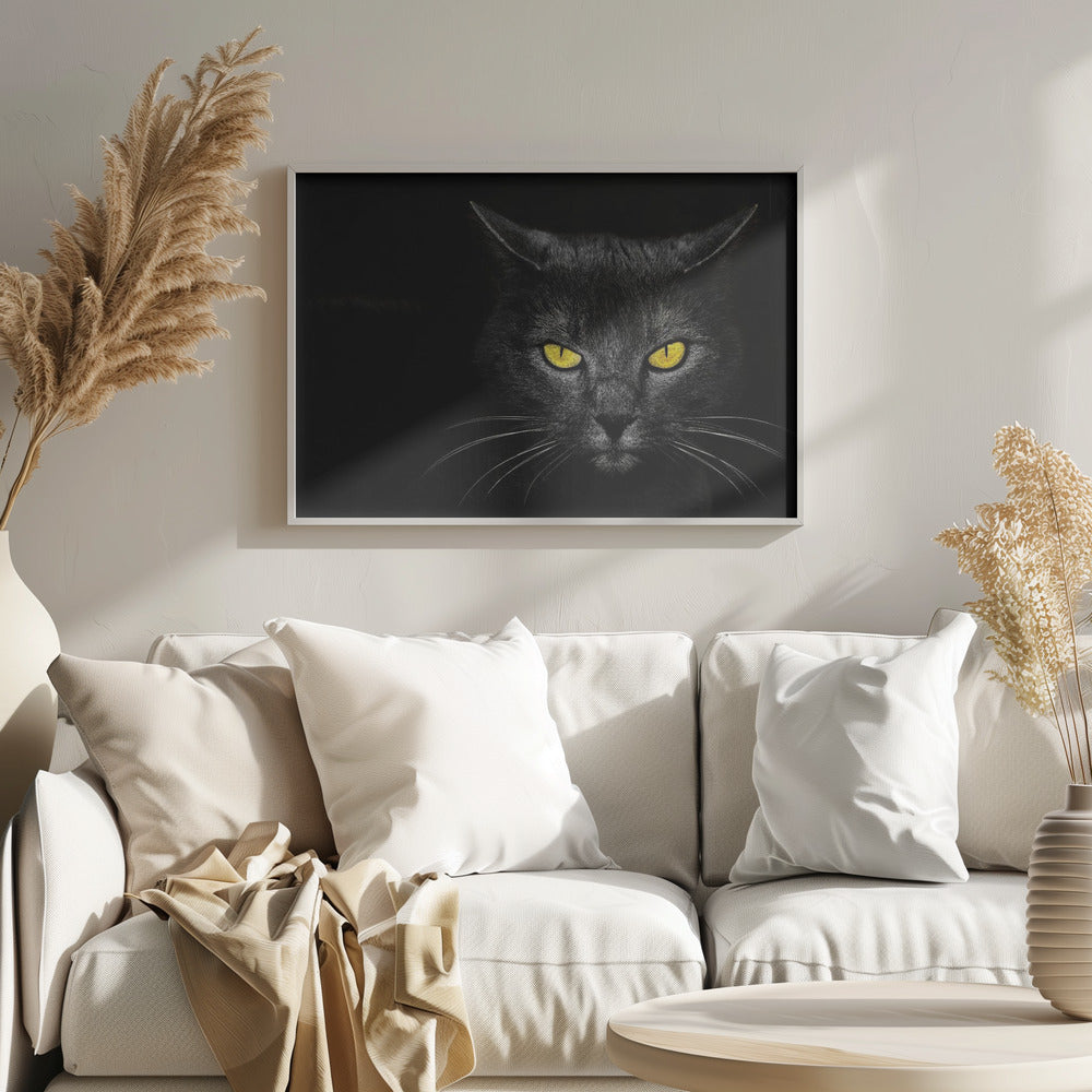 Chat noir | Posters - Affiche Artistique