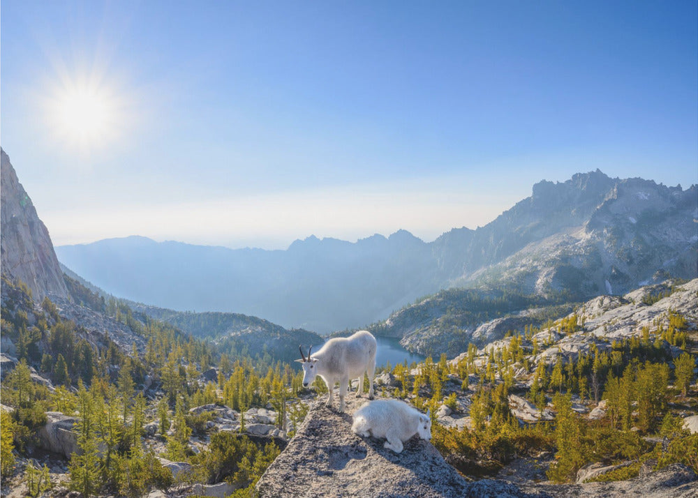 Incanto: Panorama del Passo Prusik | Carta da Parati Fotografica
