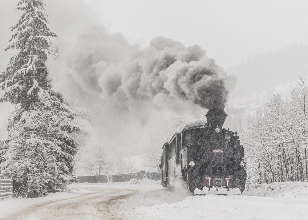 Historia de invierno | Papel Pintado Fotográfico