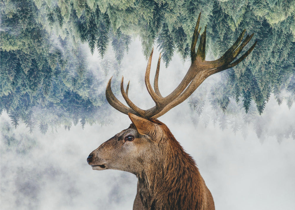 Le Cerf et les bois | Papier Peint Photo
