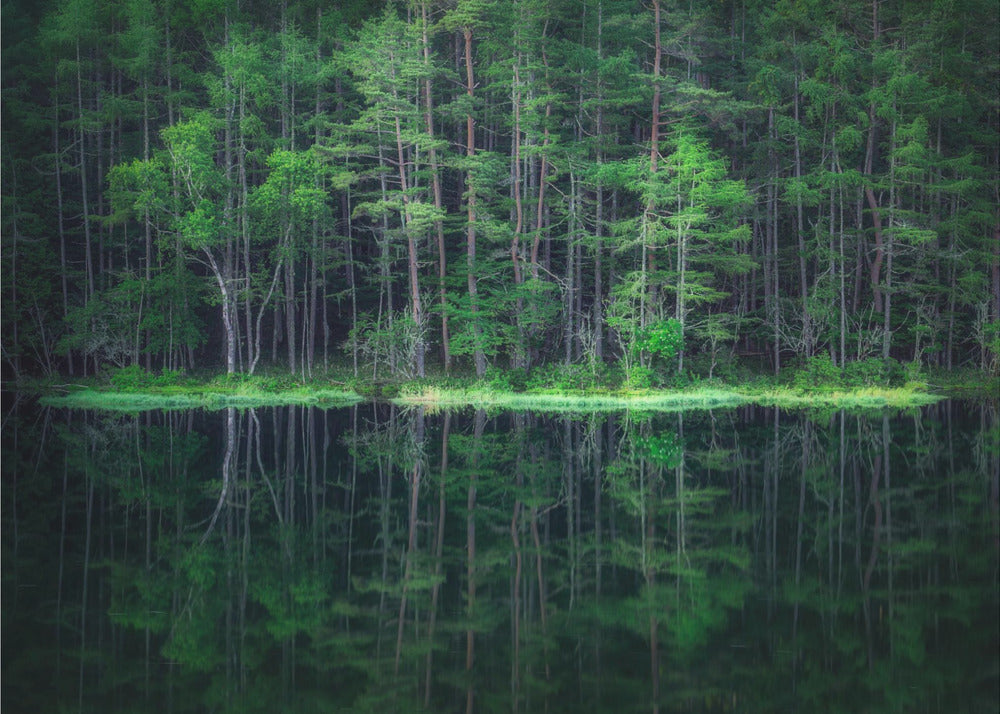 Mondo verde | Carta da Parati Fotografica