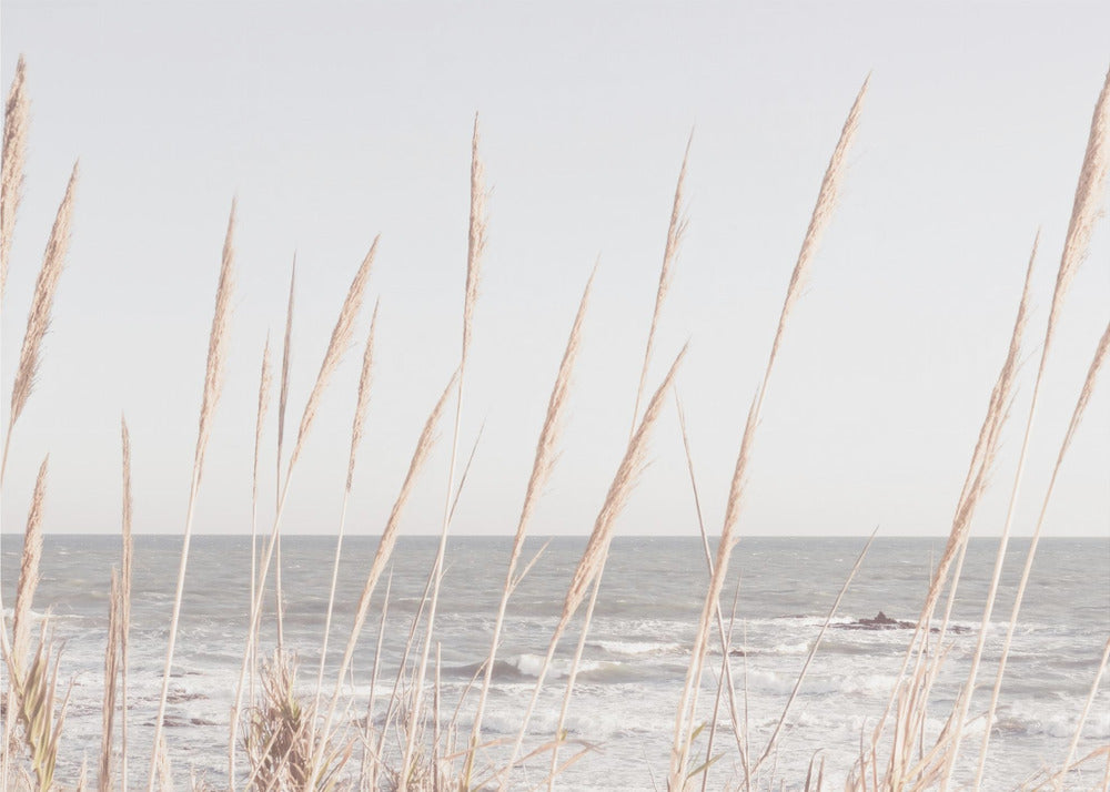 Strand_Vass_002 | Lerretsbilder