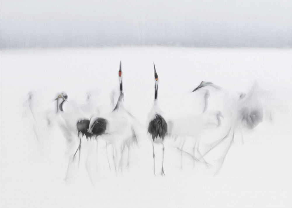 Ballet calligraphique | Papier Peint Photo