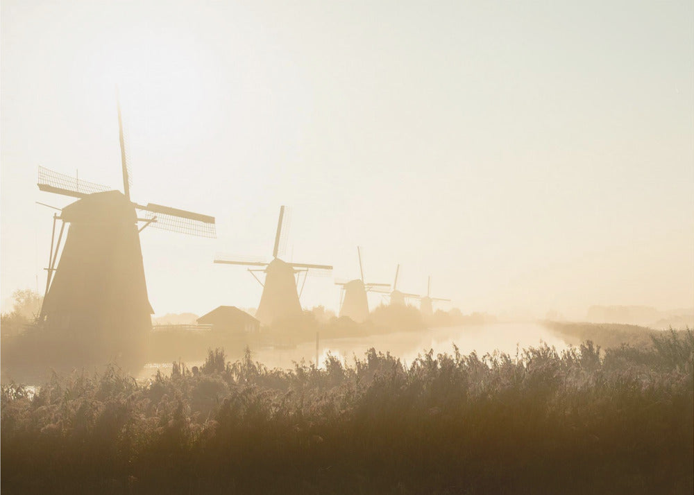 Kinderdijk | Papel Pintado Fotográfico