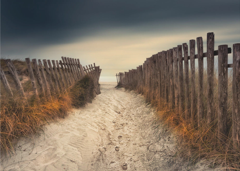 Der Weg, der zu dir führte | Leinwand-Bilder